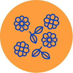 fleurs fleurs