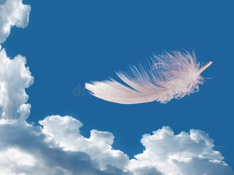 plume-de-flottement-au-dessus-de-ciel-légèreté-concept-de-liberté-35753495 plume-de-flottement-au-dessus-de-ciel-légèreté-concept-de-liberté-35753495